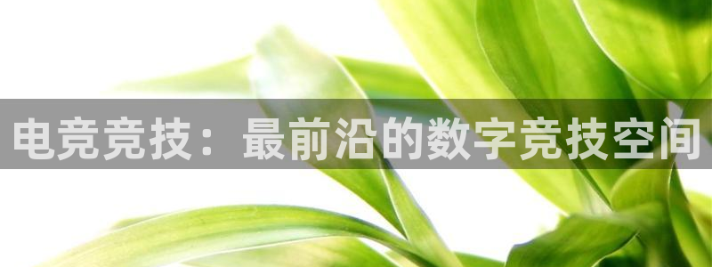 成都乐竞电竞青训基地：电竞竞技：最前沿的数字竞技空间