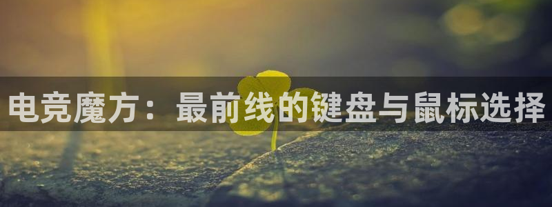 乐竞电竞体育官网