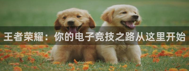 乐竞电竞实训中心收费标准：王者荣耀：你的电子竞技之路从这里开始