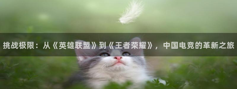乐竞电竞官网：挑战极限：从《英雄联盟》到《王者荣耀》，中国电竞的革新之旅