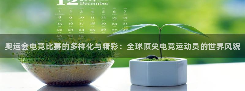 乐竞电竞实训中心收费标准：奥运会电竞比赛的多样化与精彩：全球顶尖电竞运动员的世界风貌