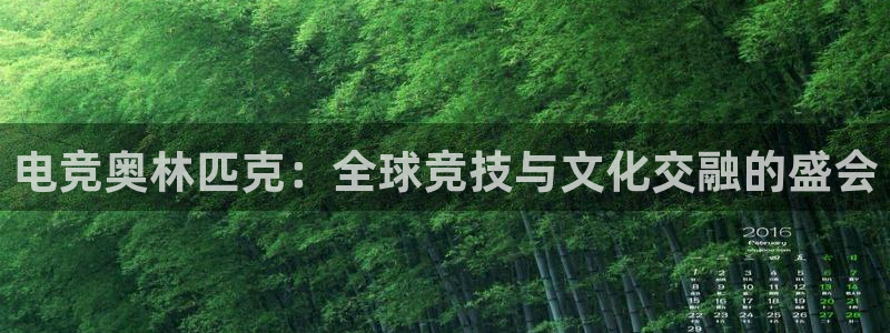 乐竞电竞体育官网：电竞奥林匹克：全球竞技与文化交融的盛会