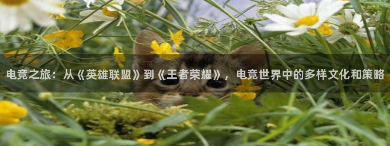 乐竞电竞app：电竞之旅：从《英雄联盟》到《王者荣耀》，电竞世界中的多样文化和策略