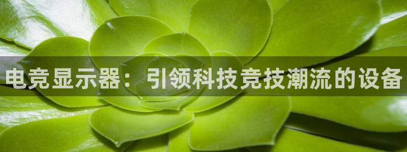 乐竞电竞平台：电竞显示器：引领科技竞技潮流的设备