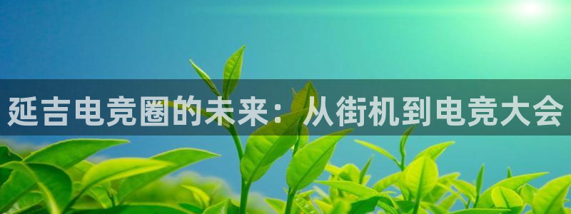 乐竞电竞官网入口：延吉电竞圈的未来：从街机到电竞大会