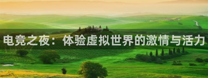 成都乐竞电竞青训基地：电竞之夜：体验虚拟世界的激情与活力