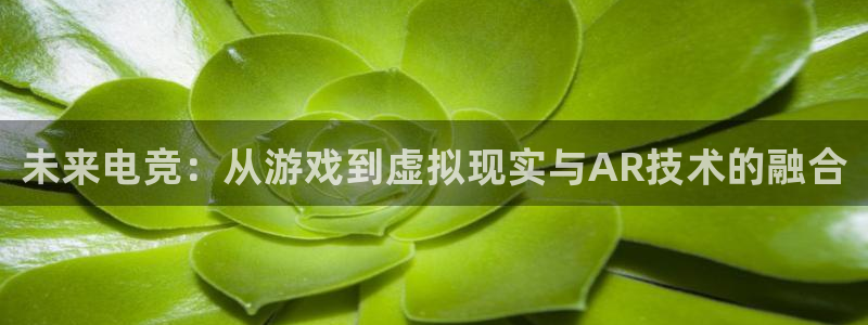 乐竞电竞官网入口：未来电竞：从游戏到虚拟现实与AR技术的融合
