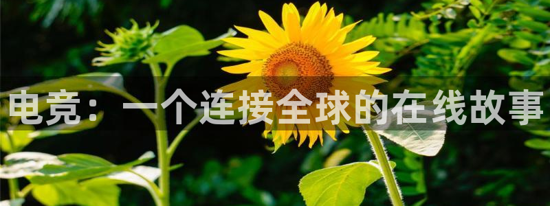 乐竞电竞平台：电竞：一个连接全球的在线故事