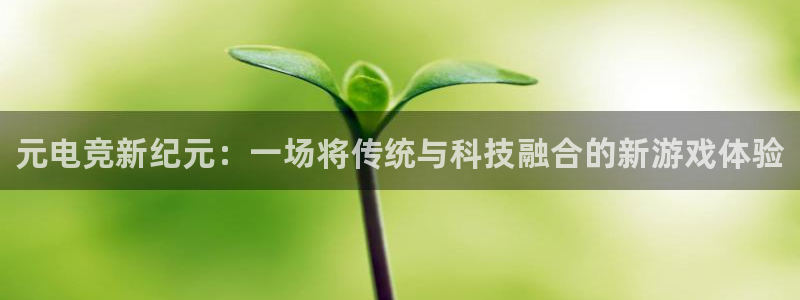 乐竞电竞实训中心收费标准：元电竞新纪元：一场将传统与科技融合的新游戏体验