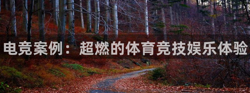 乐竞电竞：电竞案例：超燃的体育竞技娱乐体验