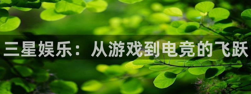 乐竞电竞竞猜：三星娱乐：从游戏到电竞的飞跃