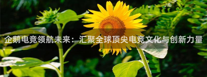乐竞电竞锁定金额：企鹅电竞领航未来：汇聚全球顶尖电竞文化与创新力量