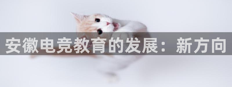乐竞电竞锁定金额：安徽电竞教育的发展：新方向