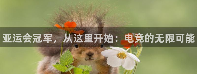 乐竞电竞体育官网：亚运会冠军，从这里开始：电竞的无限可能