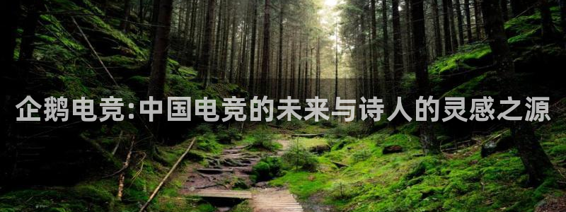 成都乐竞电竞：企鹅电竞:中国电竞的未来与诗人的灵感之源