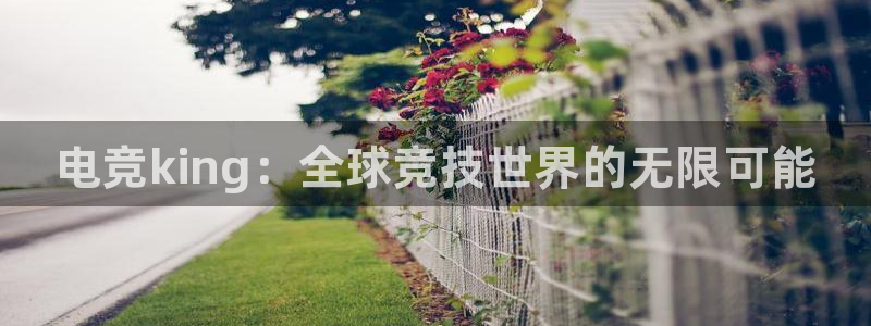 乐竞电竞官网首页：电竞king：全球竞技世界的无限可能