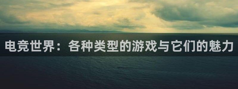 乐竞电竞体育官网：电竞世界：各种类型的游戏与它们的魅力