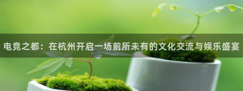 乐竞电竞app官方入口下载：电竞之都：在杭州开启一场前所未有的文化交流与娱乐盛宴