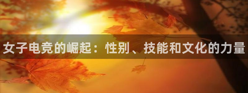 乐竞电竞app官方入口下载：女子电竞的崛起：性别、技能和文化的力量