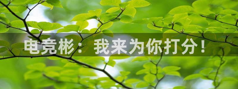 乐竞电竞青训基地：电竞彬：我来为你打分！