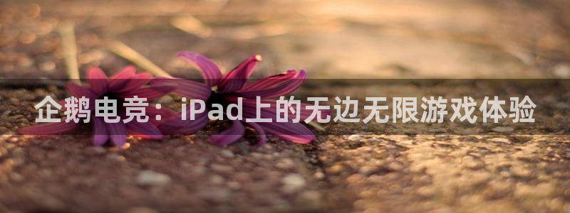 乐竞电竞学院怎么样：企鹅电竞：iPad上的无边无限游戏体验