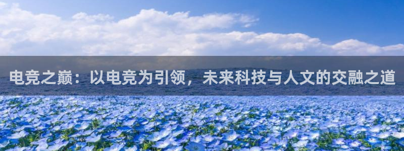 乐竞电竞官网入口：电竞之巅：以电竞为引领，未来科技与人文的交融之道