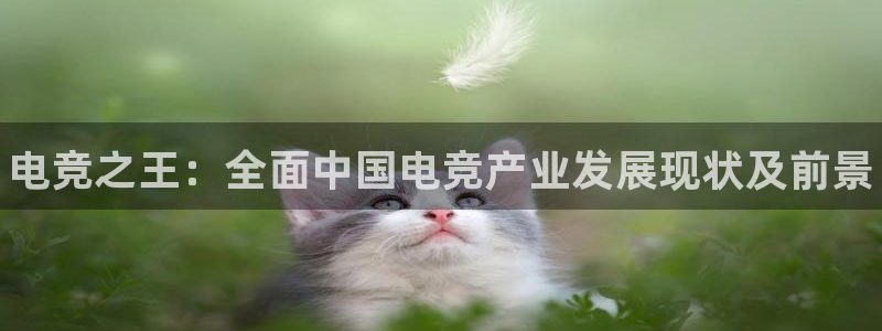 乐竞电竞官网入口：电竞之王：全面中国电竞产业发展现状及前景