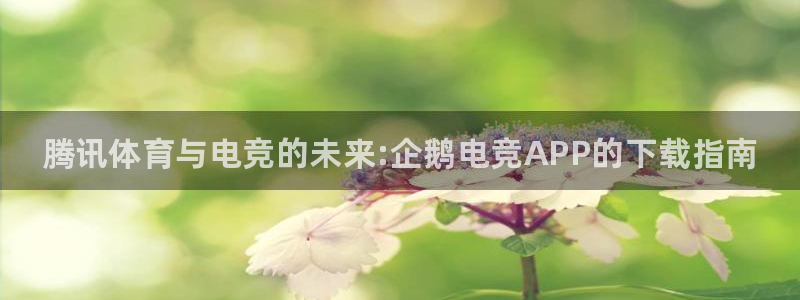 乐竞电竞app官方入口下载：腾讯体育与电竞的未来:企鹅电竞APP的下载指南