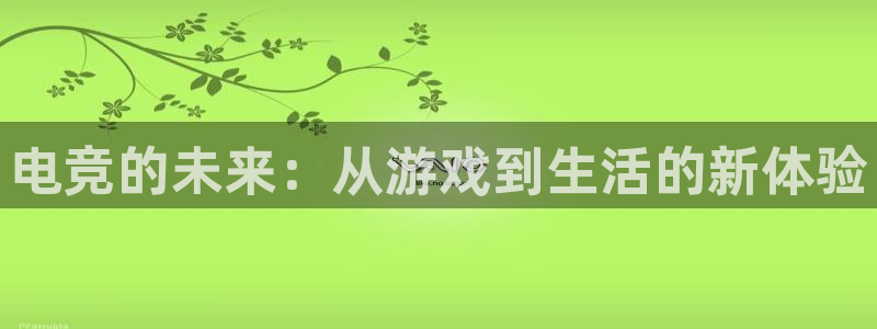 乐竞电竞竞猜：电竞的未来：从游戏到生活的新体验