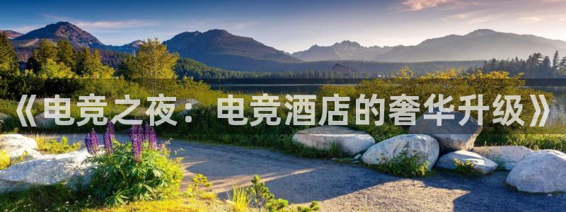 乐竞电竞学院怎么样：《电竞之夜：电竞酒店的奢华升级》