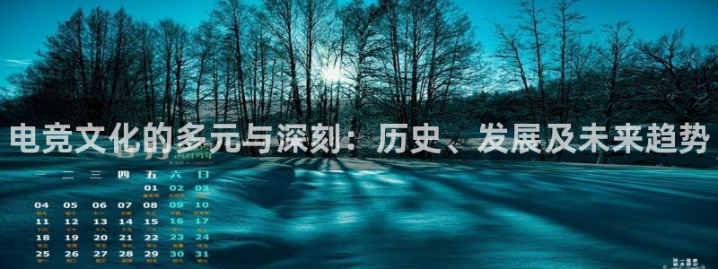 乐竞电竞app：电竞文化的多元与深刻：历史、发展及未来趋势