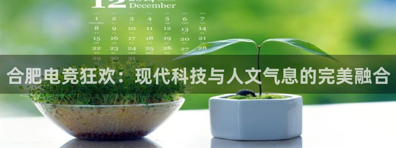 乐竞电竞锁定金额：合肥电竞狂欢：现代科技与人文气息的完美融合