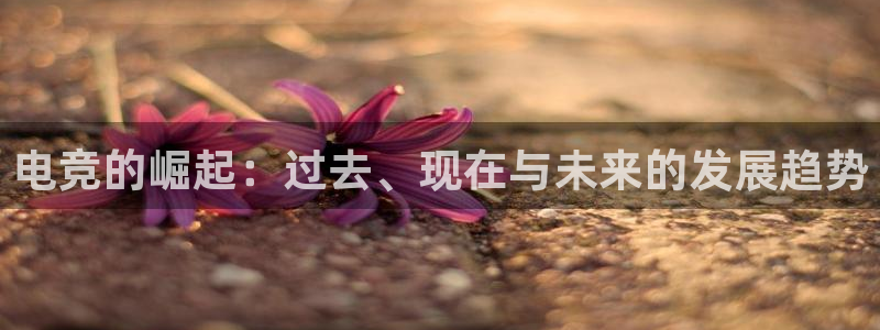乐竞电竞体育官网：电竞的崛起：过去、现在与未来的发展趋势
