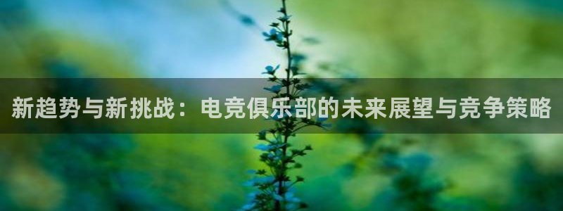 乐竞电竞实训中心收费标准：新趋势与新挑战：电竞俱乐部的未来展望与竞争策略