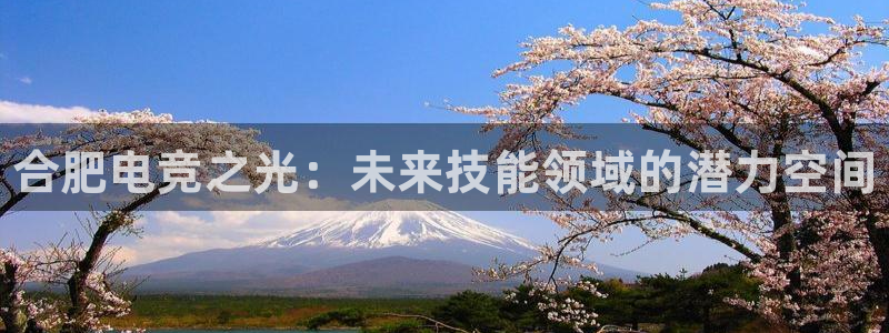 乐竞电竞app官方入口下载：合肥电竞之光：未来技能领域的潜力空间