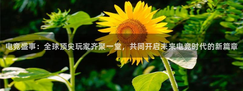 乐竞电竞app官方入口下载：电竞盛事：全球顶尖玩家齐聚一堂，共同开启未来电竞时代的新篇章